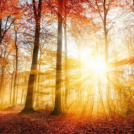 Lägenhet Luxe Veluwe Private Hottub - Romantic Getaway - Veluwe Voorthuizen