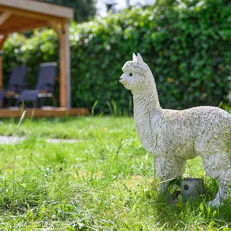 Romantic Veluwe With Private Hot Tub And Fully Fenced Garden Voorthuizen