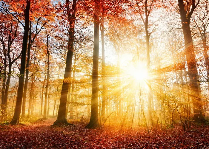 Апартаменты Luxe Veluwe Private Hottub - Romantic Getaway - Veluwe Вортхёйзен